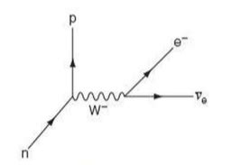 Feynman Diagram