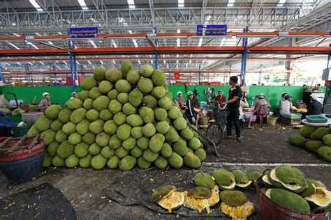 Jackfruit Season in Thailand 2024-2025 - Rove.me