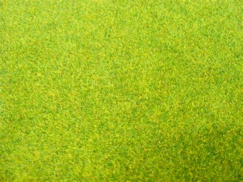 green grass, background, texture, download photo, green grass texture