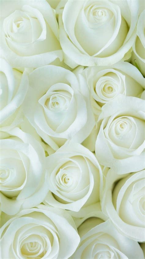 White Flowers Wallpapers - Wallpaper Cave