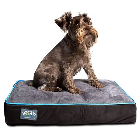 Better World Pets 5-Inch Thick Waterproof Orthopedic Memory Foam Dog Bed