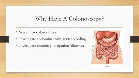 Colonoscopy Procedure