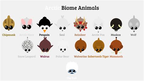 Arctic Biome Animals : r/mopeio