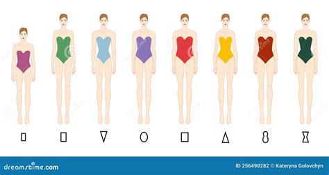 Set of Women Body Shape Types: Apple, Pear, Column, Brick, Hourglass, Inverted Triangle in ...