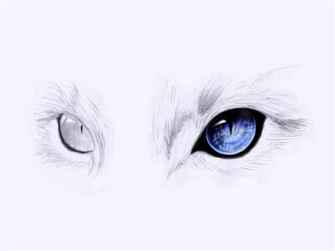 Cute Animal Eyes Drawing at GetDrawings | Free download