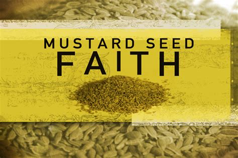 GOSPEL REFLECTIONS DAILY: THE PARABLE OF MUSTARD SEED – JANUARY 28TH – FRIDAY (Mk 4: 26-34)