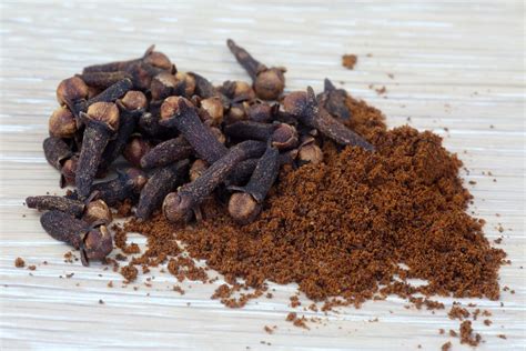 What Are Cloves and How Are They Used?