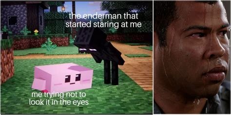 Minecraft: 10 Enderman Memes That Are Hilariously Funny