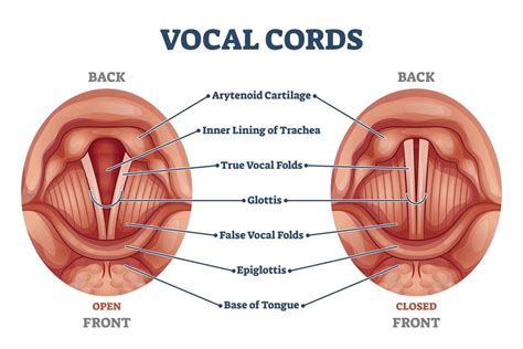 Why is Whispering Bad for Your Voice? | Backstage