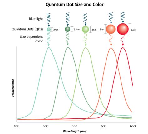 Quantum Dot Technology: Enlightening the Future | Blog Posts | Lumenci