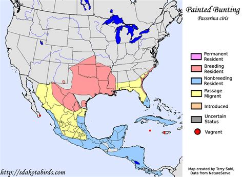 Painted Bunting - Species Range Map