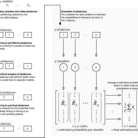 Algorithm for phalanx-formation and construction of the ensemble of the... | Download Scientific ...