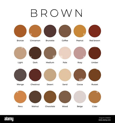 Brown Color Shades Swatches Palette with Names Stock Vector Image & Art - Alamy