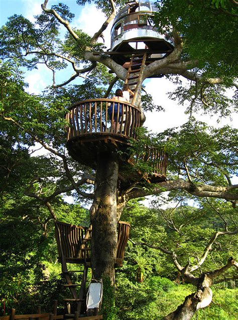 Three Floors on Tree House - Furniture Home Idea