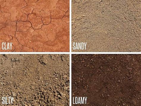 Properties Of Sandy Clay Soil at Earl Crooks blog