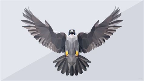 Low Poly Falcon (1920x1080) • /r/wallpapers | R wallpaper, Wallpaper, Wallpaper backgrounds