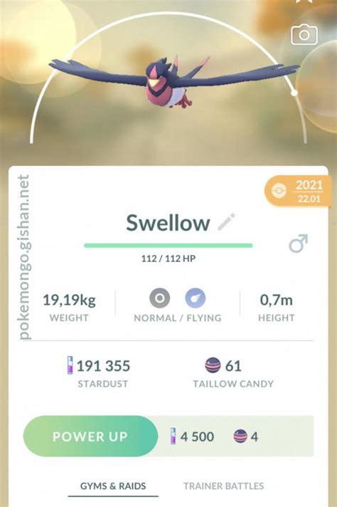 Swellow - Pokemon Go