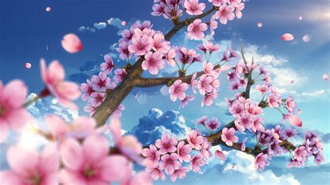 Anime Sakura Tree Wallpaper 4k 370 Cherry Blossom Hd Wallpapers | Images and Photos finder