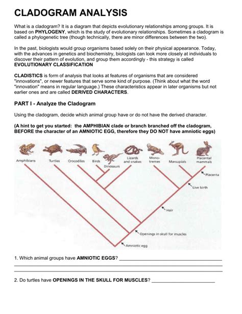 Cladogram Worksheet Answer Key - Sixteenth Streets