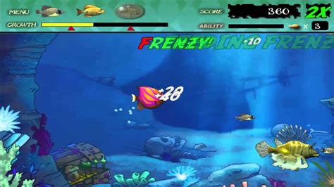 Fishing Frenzy Game Pc - CIRCUMSPECTRUM