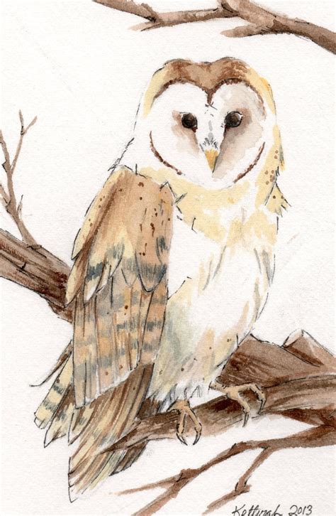 Barn Owl Watercolor Painting Wildlife Art OSWOA