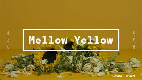 Coloro x WGSN key colors 2020: Mellow Yellow - YouTube