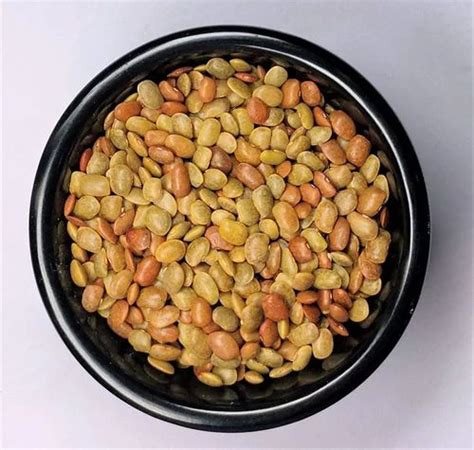 Dolichos Biflorus at Rs 800 in Indore | ID: 2850388399691