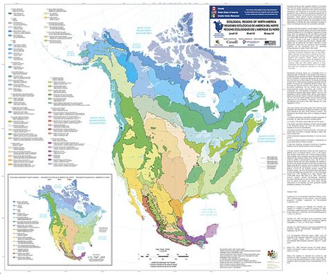 Ecoregions of North America | US EPA