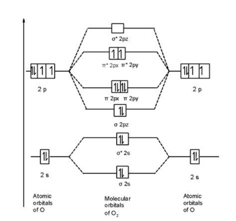 Draw the valence shell molecular orbital diagram of the oxygen molecule ...