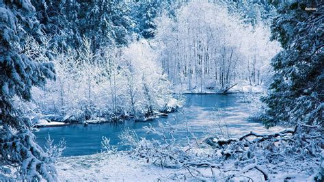 Winter Forest 1920x1080 Wallpapers - Wallpaper Cave