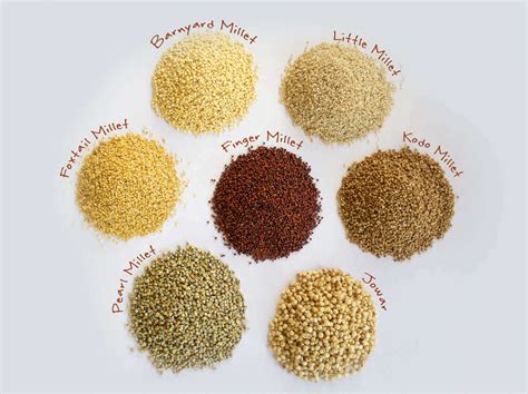 Millets : All you need to know about these grains - Pristine Organics