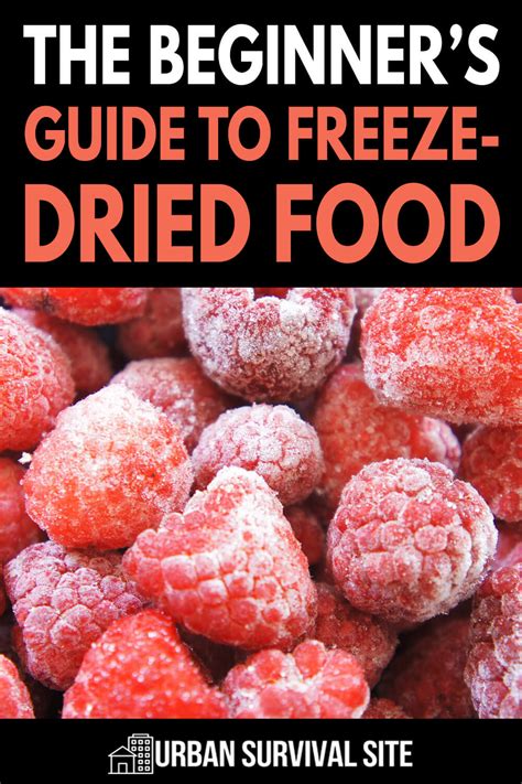 The Beginner's Guide to Freeze-Dried Food | Urban Survival Site