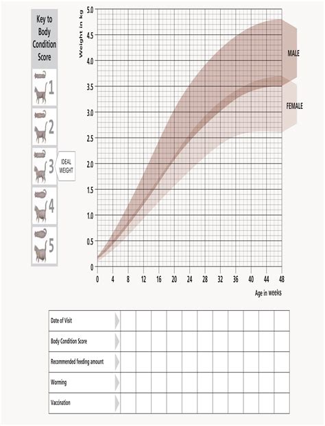 Cat Weight Chart by Age