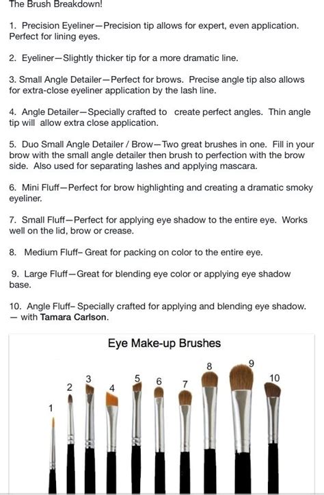 Eye makeup brush guide | Makeup brushes guide, Makeup tutorial foundation flawless face, Eye ...