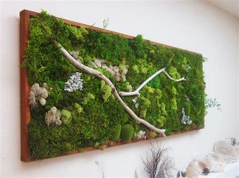 Moss Art Gallery - Wabi moss