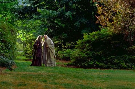 Saruman and Gandalf - Saruman Photo (20940110) - Fanpop