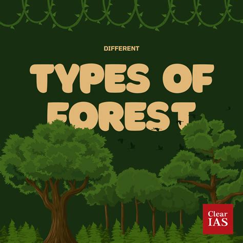 Forest - Know the Different Types - ClearIAS