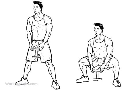 Sumo / Plié Dumbbell Squat | Illustrated Exercise guide - WorkoutLabs