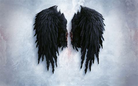 🔥 [0+] Angel Wing Wallpapers | WallpaperSafari