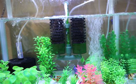 Best Sponge Filter: Buyer’s Guide - FishTankAuthority.com