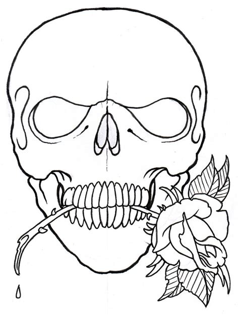 Skull And Rose Outline by vikingtattoo on DeviantArt | Skull and rose drawing, Roses drawing ...