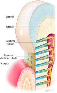 Top Tips for Dealing with Sensitive Teeth