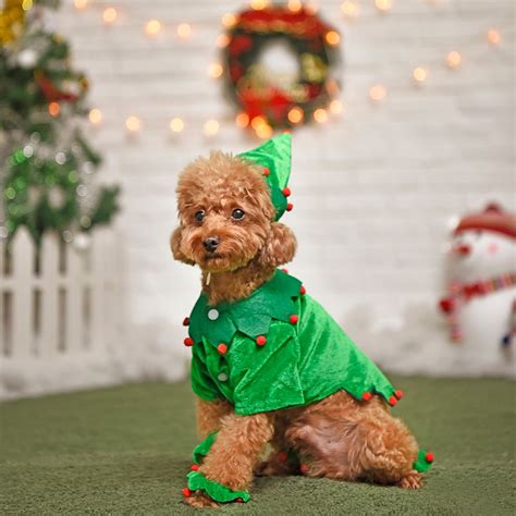 Super Cute Pet Christmas Clothes Wizard Christmas Tree Funny Style For Dog Puppy Cosplay Costume ...