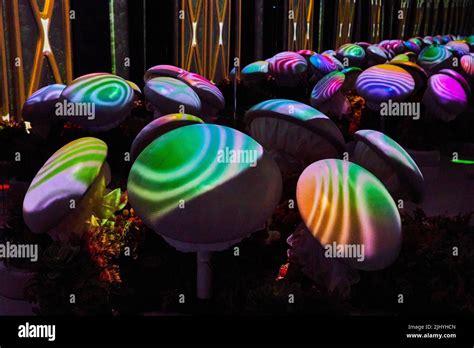 Neon mushrooms display at art gallery Stock Photo - Alamy