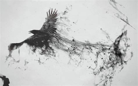 🔥 [48+] Raven Desktop Wallpapers | WallpaperSafari