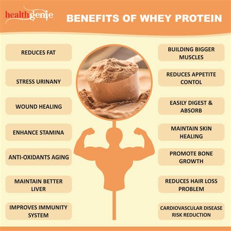 Benefits Of Whey Protein Powder