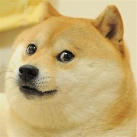 Doge Meme Template - Piñata Farms - The best meme generator and meme maker for video & image memes