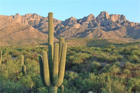 10 Must See Attractions in Arizona | Family Vacations U.S