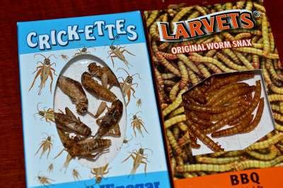 Helen A. Lockey: Delicious Edible Bugs, Hotlix® Inc.