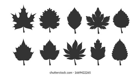 93,983 Fall Leaf Silhouette Stock Vectors and Vector Art | Shutterstock